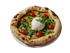 Bild von 102 Romana