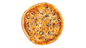 Bild von 104 Funghi